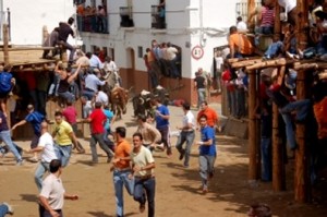 _capeas_segura_leon_01 _capeas_segura_leon_01