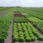 -ecologicos