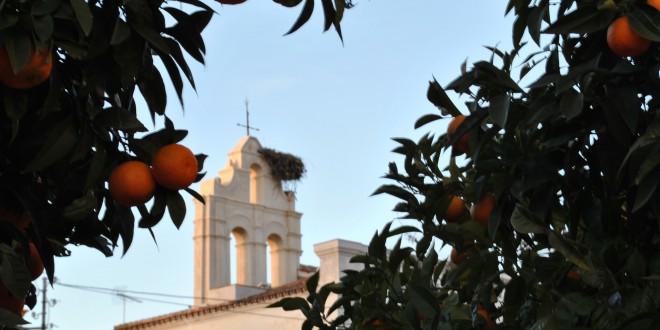 Zafra, guía de la ciudad